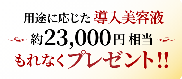 用途に応じた導入美容液約23,000円相当をもれなくプレゼント!!